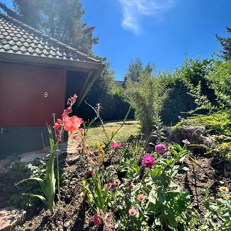 Holiday home Odenwald Michelstadt